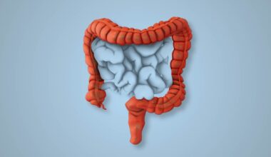 Review: Nutritional Management of Irritable Bowel Syndrome. Image Credit: Silver Place / Shutterstock