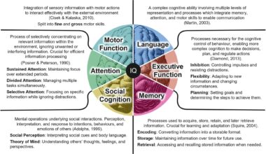 Diagram summarising the key domains within human cognition.