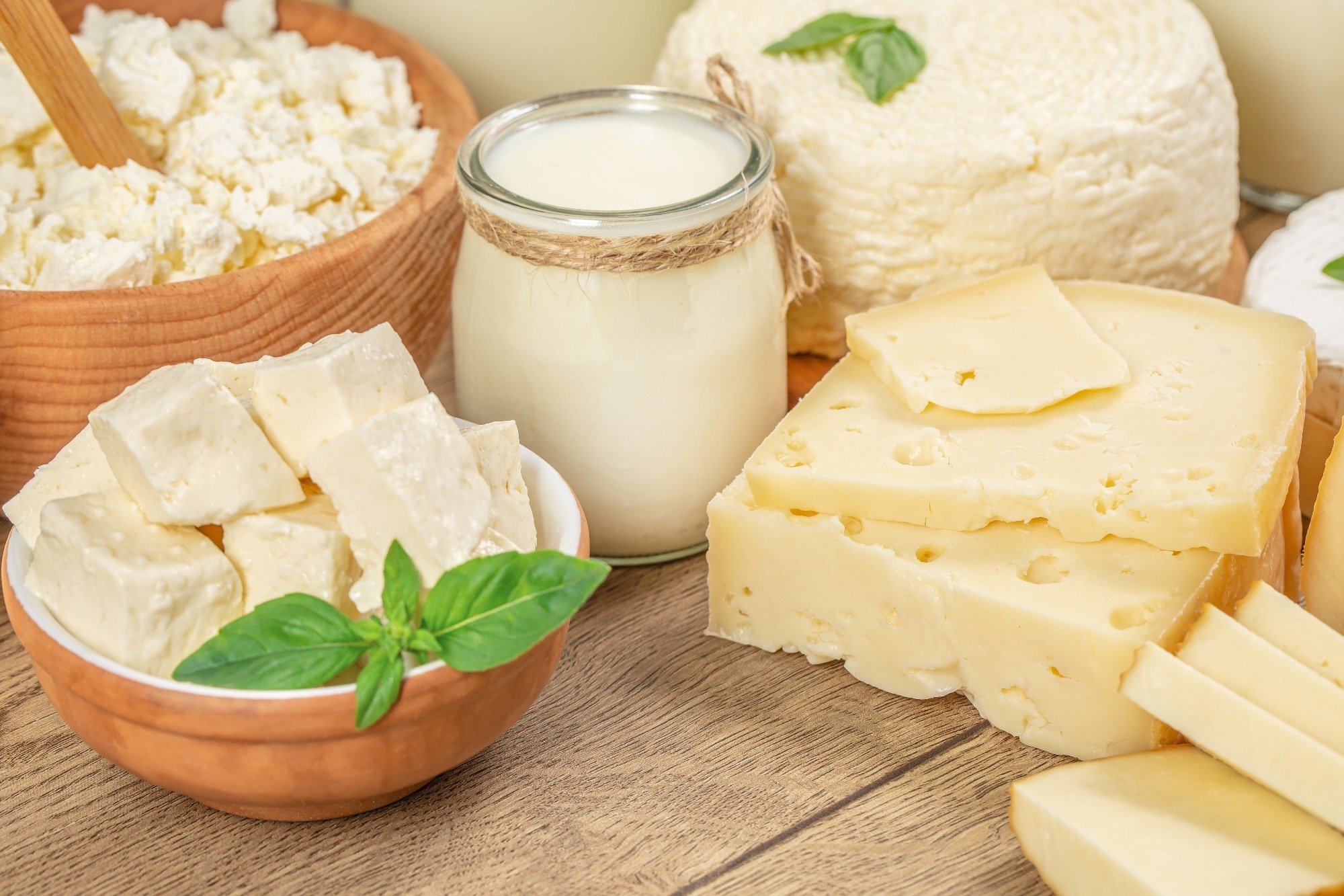 Study: Fermented foods consumption, all-cause, and cause-specific mortality: a meta-analysis of prospective cohort studies. Image Credit: sweet marshmallow / Shutterstock