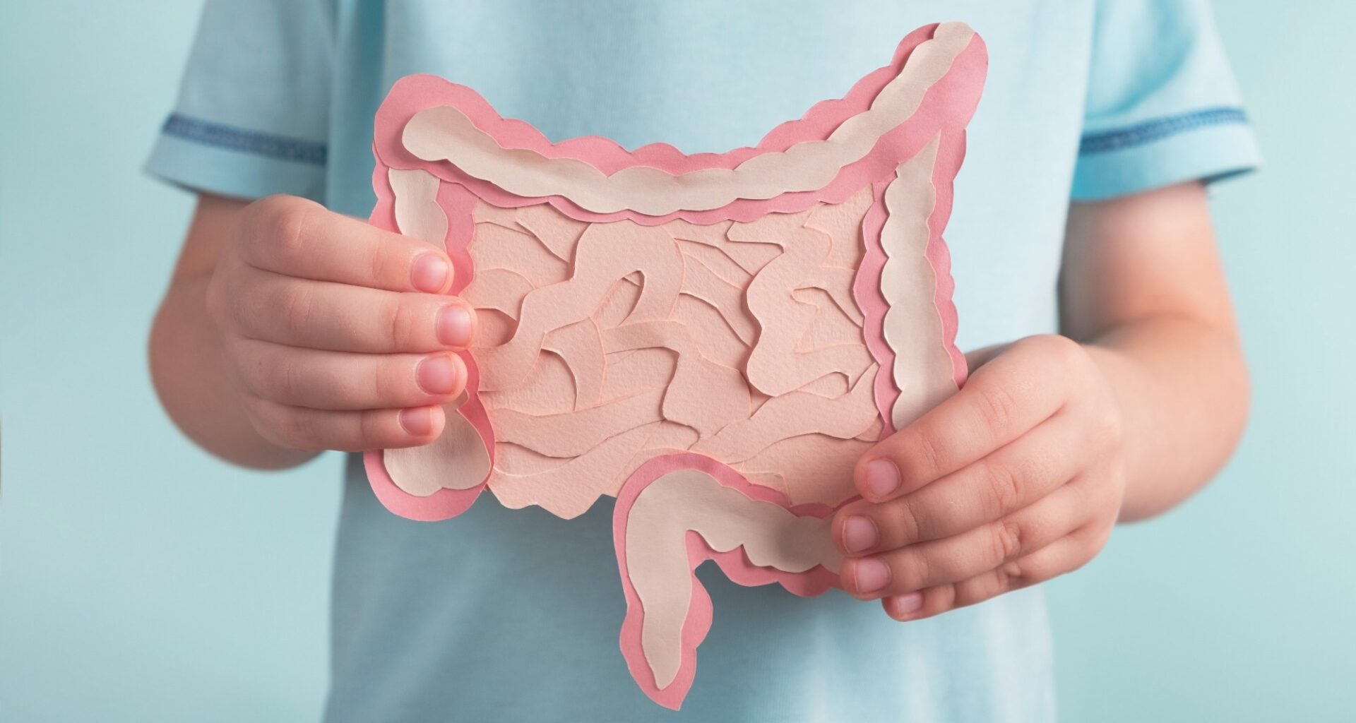 Child holding decorative model intestine.