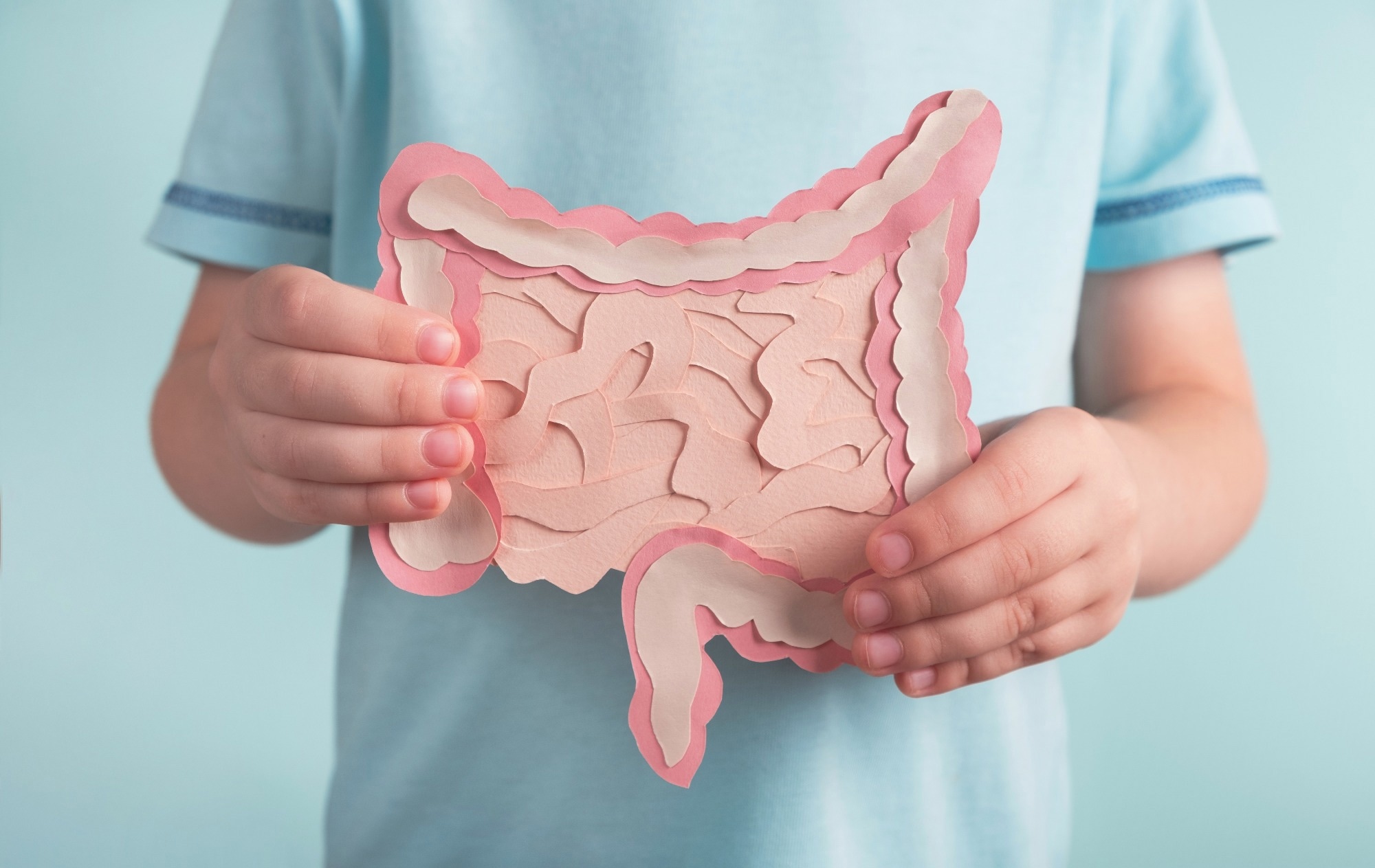 Child holding decorative model intestine.