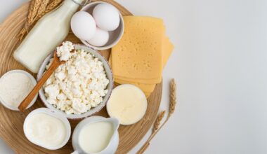 Assortment of dairy products, milk, cottage cheese, cheese, cream cheese, butter, eggs and yogurt on a wooden stand on a light background.