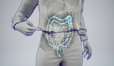 Study: Shaping the Female Microbiome: A Review of Lifestyle Factors Influencing the Vaginal, Gut, Oral, and Skin Microenvironments. Image Credit: Julien Tromeur / Shutterstock