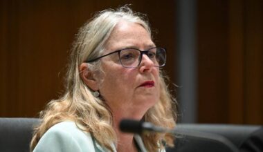 DFAT plan to secure Australia's diplomatic network ‘partly effective’