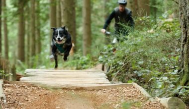 Jason Lucas delivers the perfect ode to his trail dog
