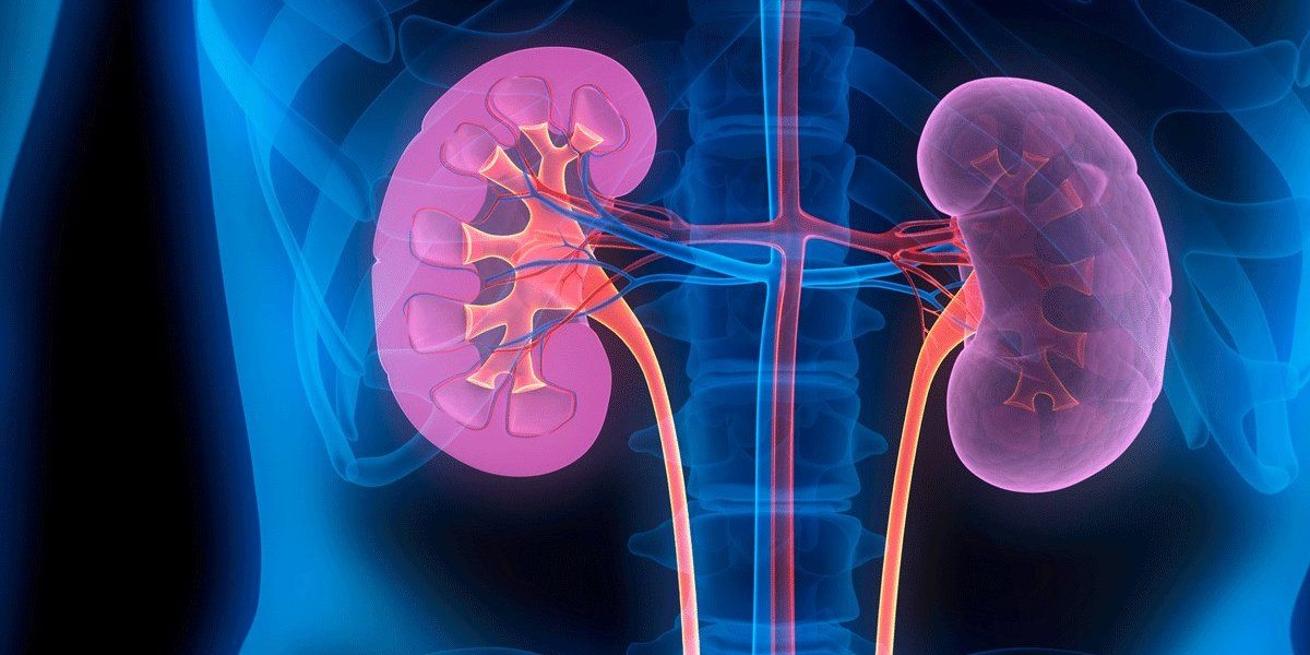 How unregulated herbal remedies may contribute to chronic kidney disease - The South First