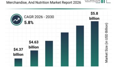 Mixed Martial Arts (MMA) Equipment, Merchandise, And Nutrition Market