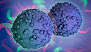 Study reveals why some cancer therapies don’t work for all patients | MIT News
