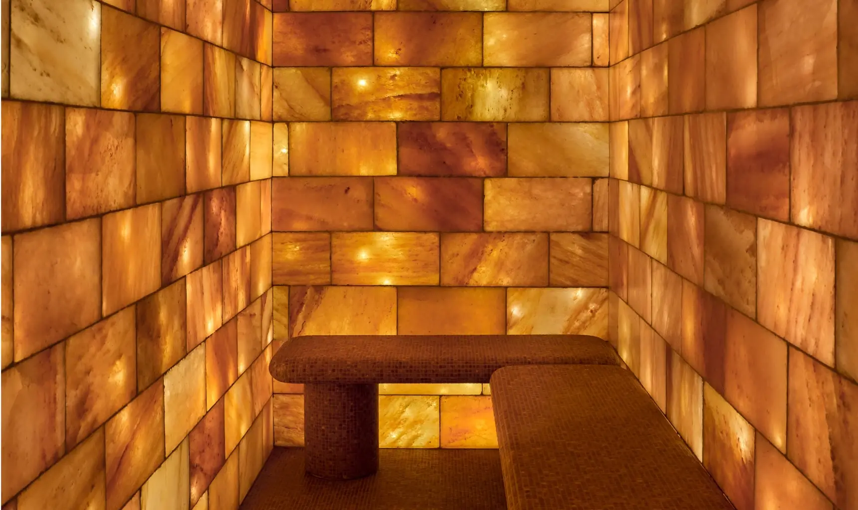 Why Are Chefs Putting Albany Rock Oysters on the Menu?