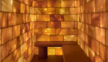 Why Are Chefs Putting Albany Rock Oysters on the Menu?