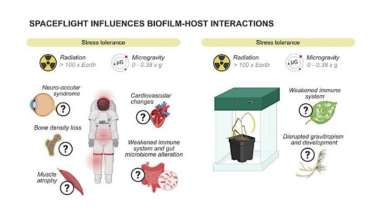NASA Volunteers Study Biofilm Adaptability in Space