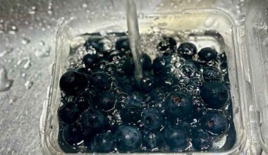 NSW Gov tests confirm blueberries are safe to eat