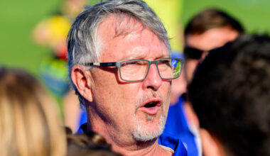 Baby Sharks Secret to Success in 2026