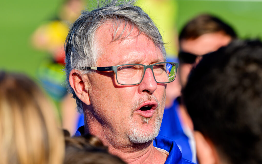 Baby Sharks Secret to Success in 2026