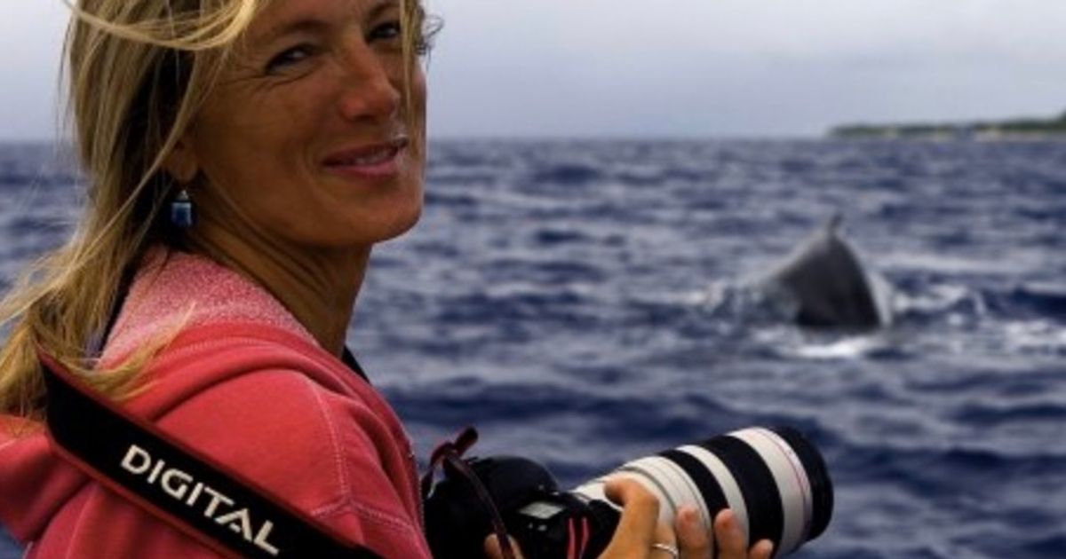 Incredible moment hero whale saves diver from shark by hiding her under fin