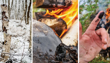 Neanderthals may have used a prehistoric glue as a topical antibiotic