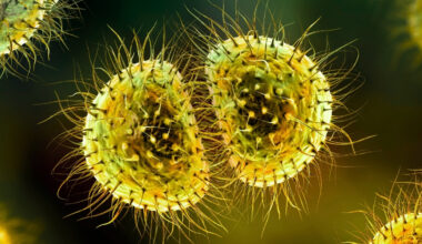 Meningitis Outbreak Exposes UK's Decade-Long Gap in Protection : ScienceAlert