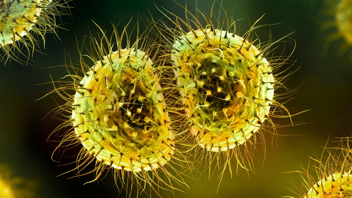 Meningitis Outbreak Exposes UK's Decade-Long Gap in Protection : ScienceAlert