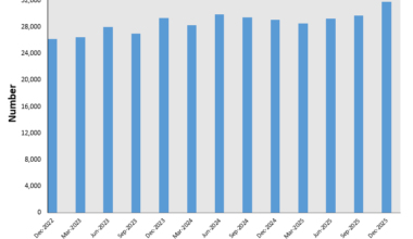 Number of FHB mortgages issued