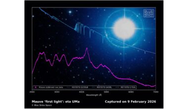 The world's 1st private space telescope just spotted its 1st star. Here's what it saw.