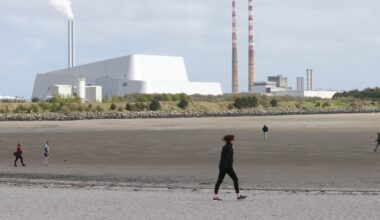 UK pension fund buys into Dublin’s Poolbeg incinerator – The Irish Times