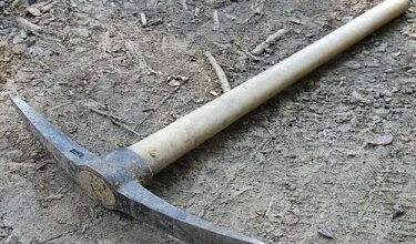 ‘Let’s move on’, Wayne, ‘The Wok’ and ‘The Old Fox’