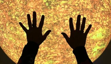 Auckland on a budget: How to have a week of entertainment for free