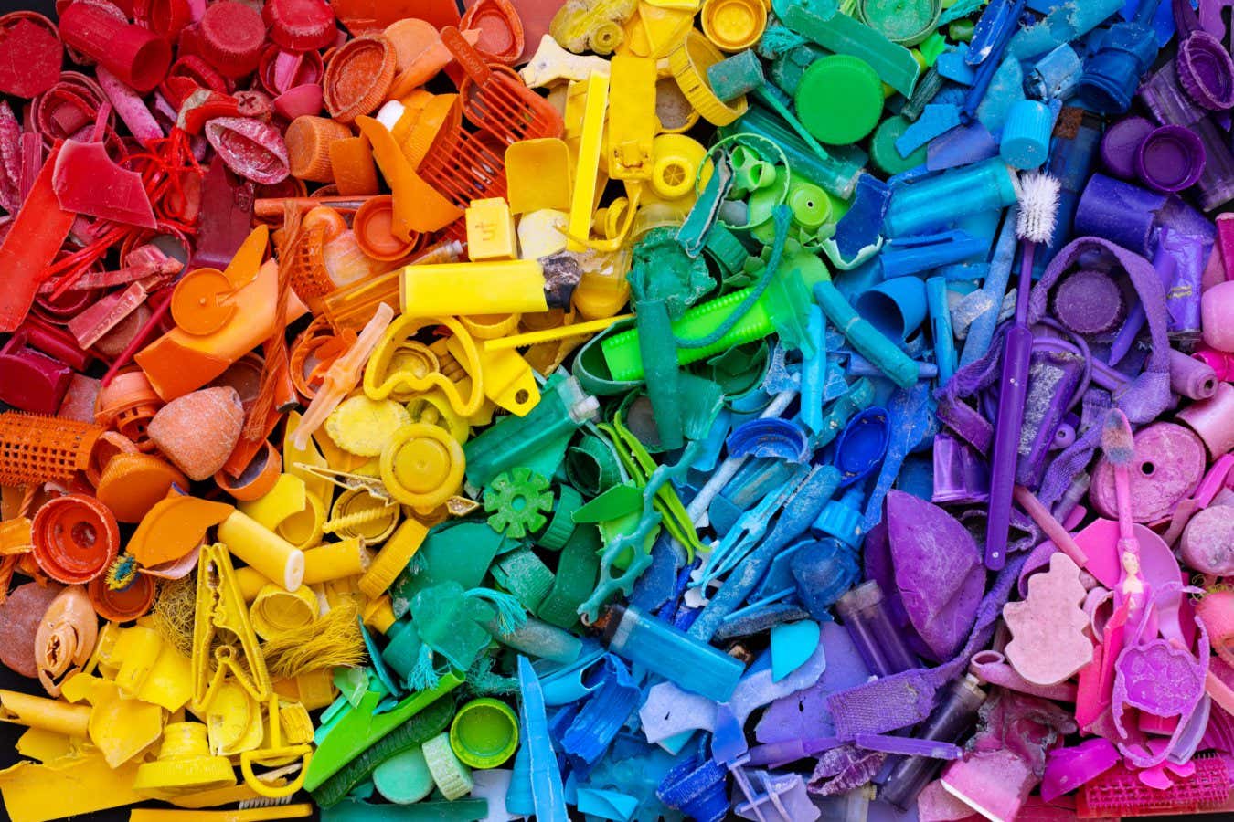 A collection of sorted pieces of plastic collected from the beaches of Cape Town