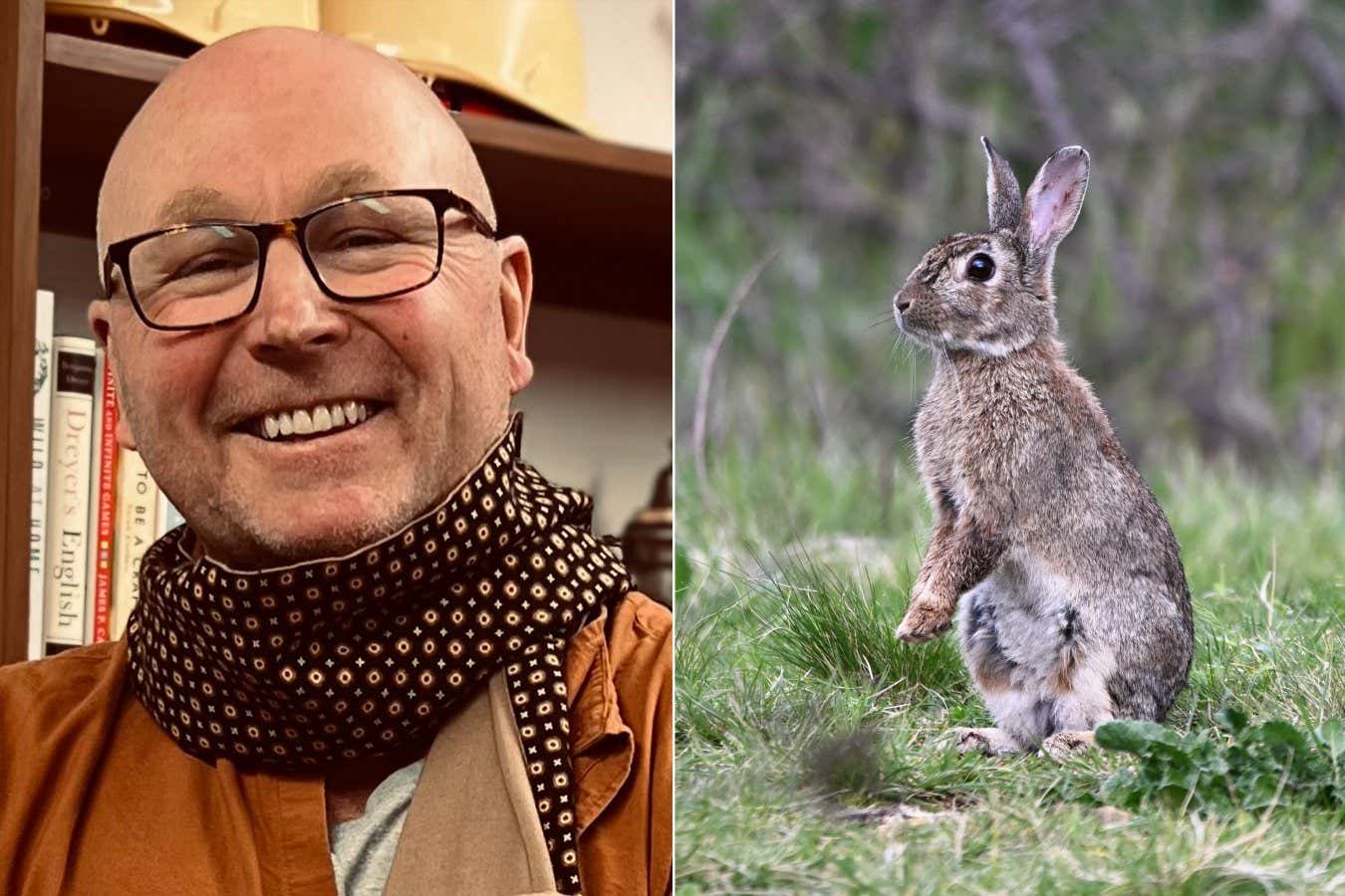 Left: James Woodford Right: A,Wild,European,Rabbit,(scientific,Name:,Oryctolagus,Cuniculus),At,Jerrabomberra A wild European Rabbit (scientific name: Oryctolagus cuniculus) at Jerrabomberra Wetlands Nature Reserve in Canberra (standing upright).; Shutterstock ID 2336480569; purchase_order: -; job: -; client: -; other: