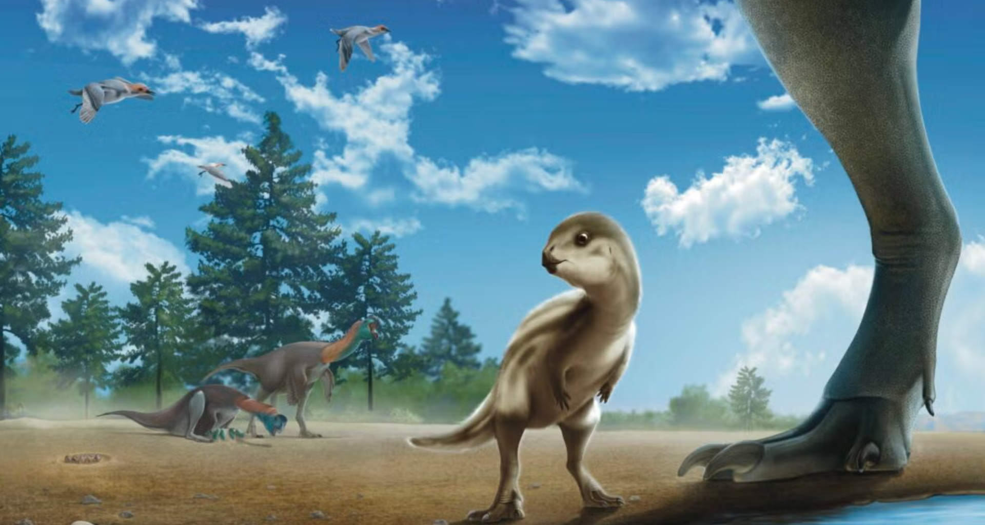 CT scans reveal a new species of baby dinosaur hidden in rock for 100 million years