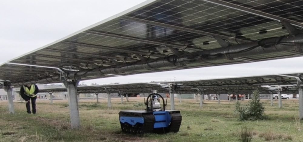 How a robot named Bear is making solar farm maintenance safer and more efficient