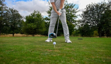 Should plastic golf tees be banned?