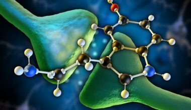 Enhancing myelination may help sustain therapeutic effects of psychedelic-assisted PTSD treatment