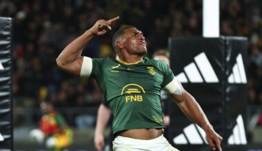 Springboks and All Blacks untouchable in World Rugby Rankings