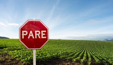 Brazil sector hits back at President Lula’s call for a betting ban