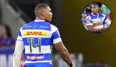 Every single contribution the Springboks star made against Edinburgh