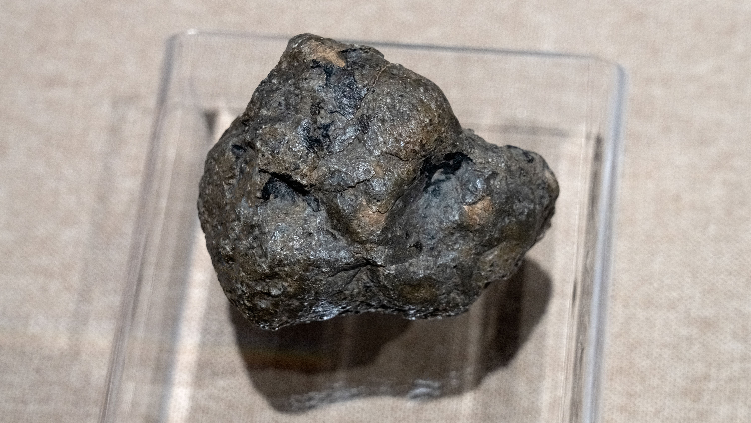 A meteorite placed on a clear tray inside