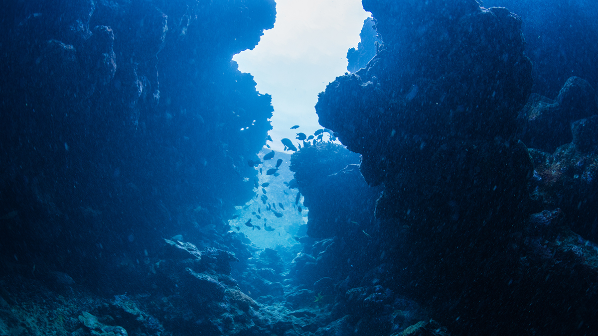 We Finally Know What Tore a 500-Km 'Grand Canyon' Into The Atlantic Seafloor : ScienceAlert