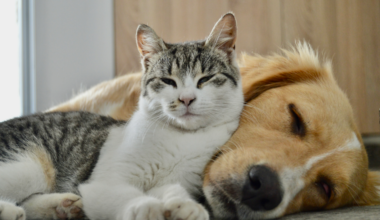 World's Largest Pet Tumour Database Unveiled