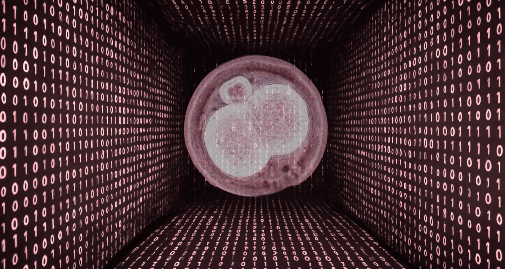 My Unlikely Existence - Longreads