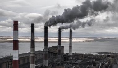 The Case for Capturing and Valorizing CO2 Emissions