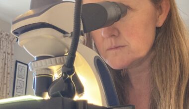 Here's our how-to guide for observing a meteorite with a microscope