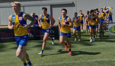 Eagles finish pre-season with win over Sharks