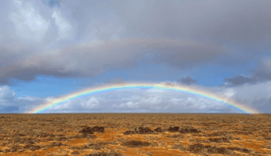 “Transformational:” Offtake interest spurs progress on huge Nullarbor renewables hub