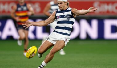 AFL Stats Wrap | The Underrated Performances That Inspired Geelong's Victory