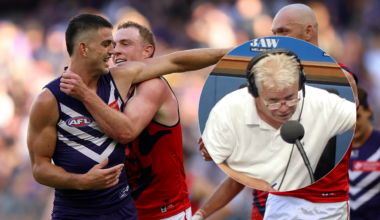 Jon Anderson calls for AFL to introduce taunting rule
