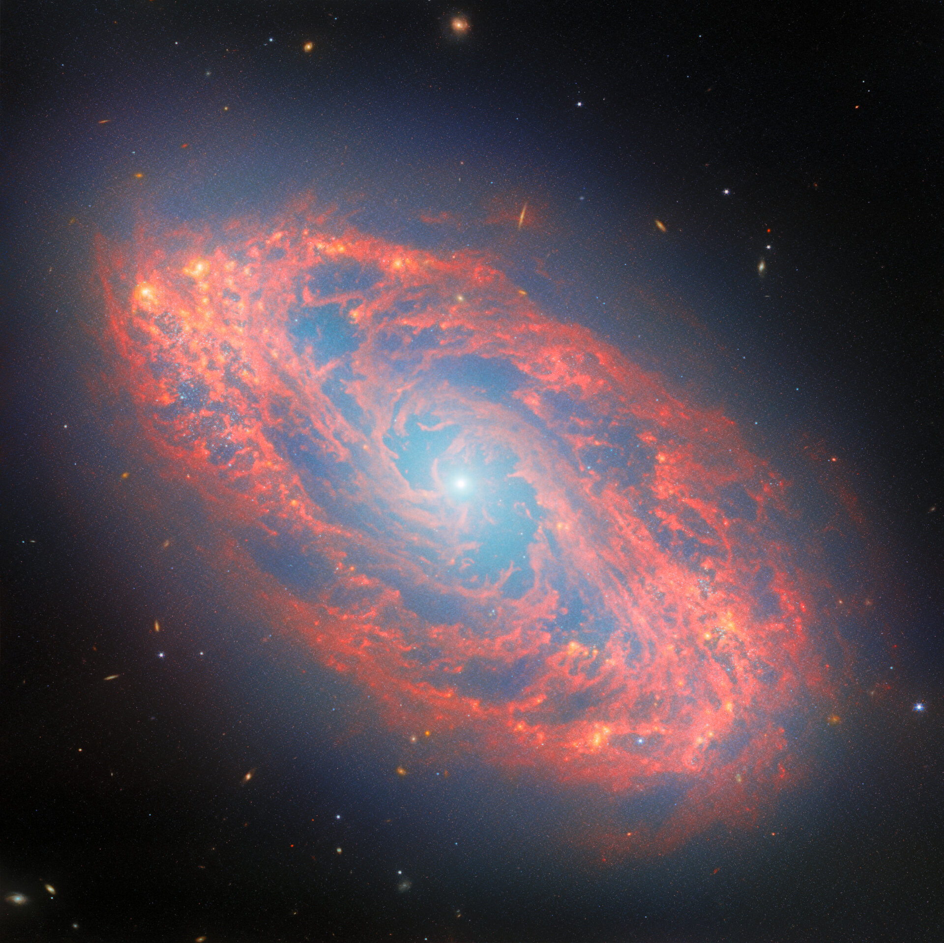 an impressive red spiral structure with a bright point of light at the very center.