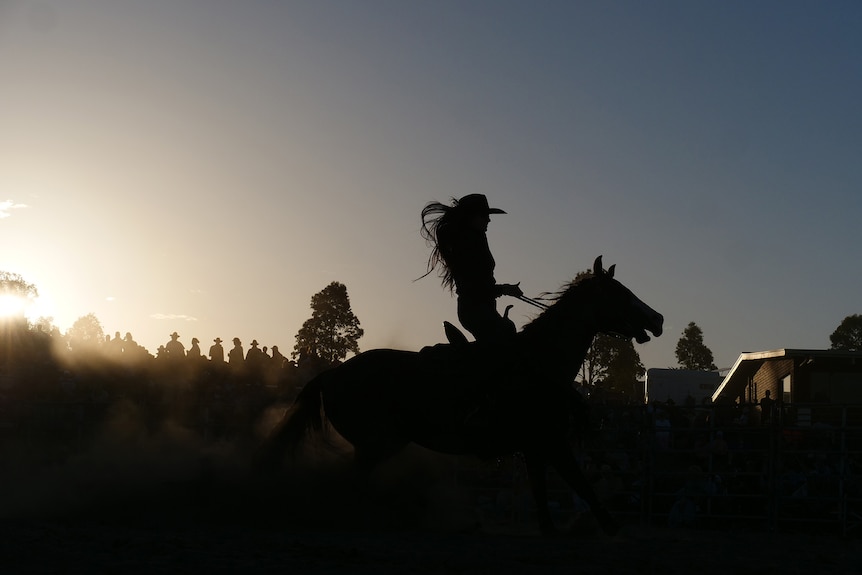 A backlit rodeo rider