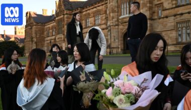 Why Chinese student numbers are expected to take 'a sharp turn for the worse' in Australia