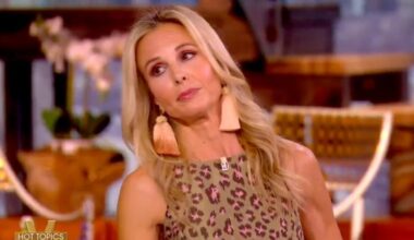 ‘The View’ Audience Audibly Protests When Guest Host Elisabeth Hasselbeck Blames Disapproval of ICE on the Media | Video